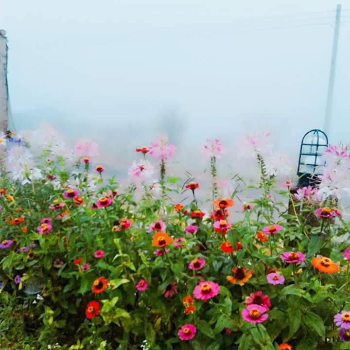 น็อคดาวน์ Hotel Khao Kho Buitenkant foto